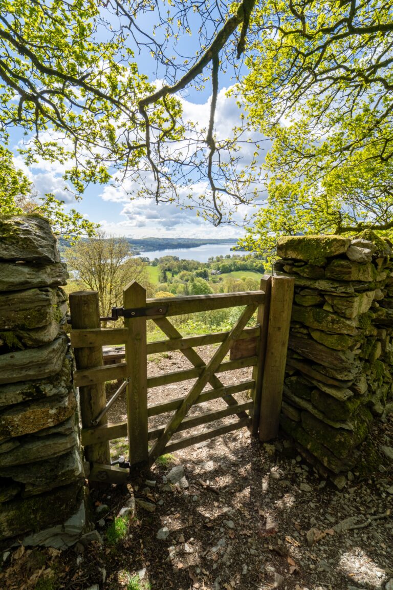 Amazing fence gate rebuild and a whole replacement