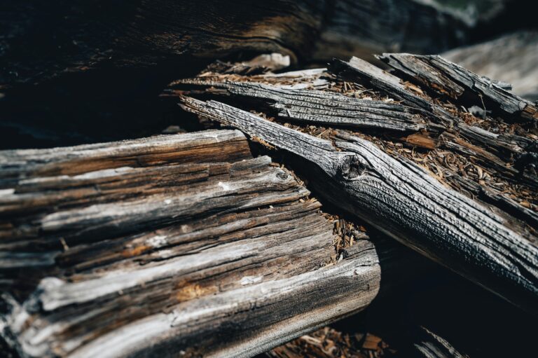 Don’t Wait for the Damage to Spread – Repair Wood Rot Early